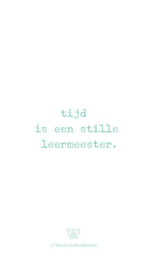 leermeester