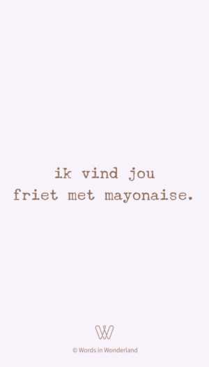 friet met mayonaise