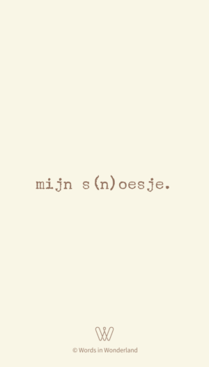 s(n)oesje